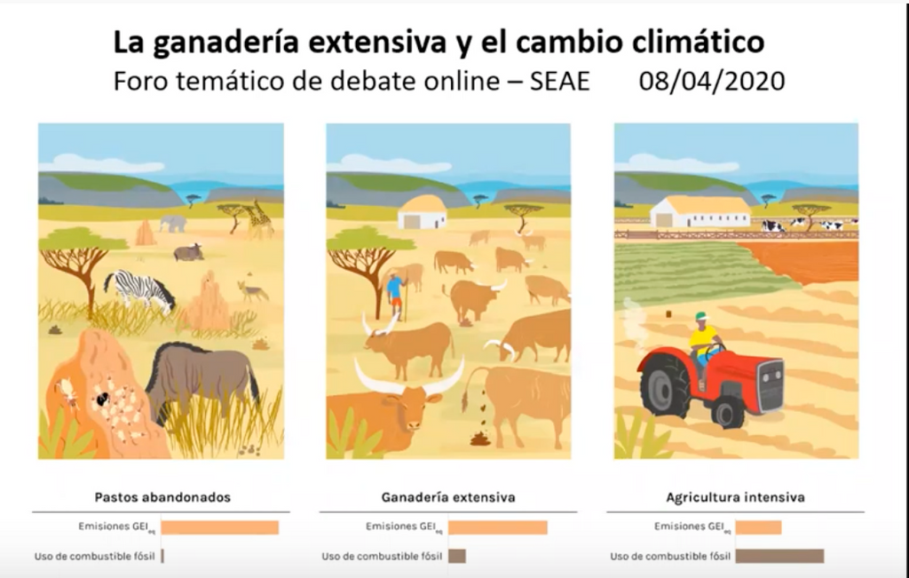 Debate online: La ganadería extensiva ante el cambio climático